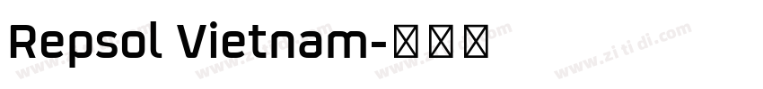 Repsol Vietnam字体转换